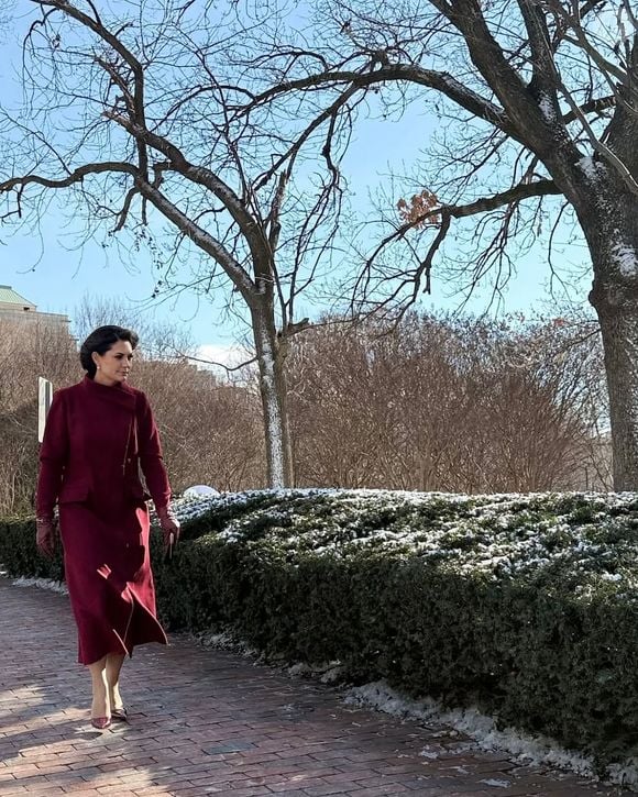 Segundo informações da grife Pawlick, pertencente à Luhana Pawlick, a peça foi feita sob medida para Michelle. Nos pés, a ex-primeira dama apostou em scapin salto agulha.