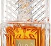 Com notas de canela, baunilha e fava tonka, o Khamrah, da Lattafa, virou um dos perfumes mais desejados para o inverno