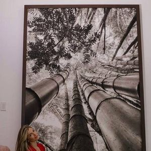 Sala de Grazi Massafera tem obra do fotógrafo Henrique Schiefferdecker