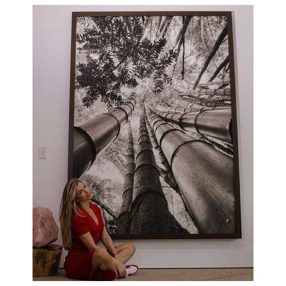 Sala de Grazi Massafera tem obra do fotógrafo Henrique Schiefferdecker