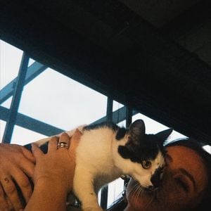 Paolla Oliveira é apaixonada por seus pets