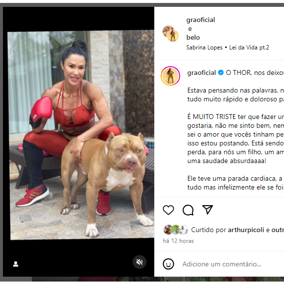Thor, cachorro de Gracyanne Barbosa, faleceu após um parada cardíaca