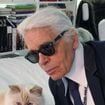 Herança bloqueada: gata de Karl Lagerfeld, Choupette, hoje com 14 anos, ainda não recebeu fortuna bilionária do estilista; R$ 8,7 milhões não foram pagos e pet troca mansão por apartamento em Paris