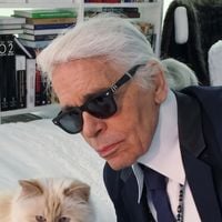 Herança bloqueada: gata de Karl Lagerfeld, Choupette, hoje com 14 anos, ainda não recebeu fortuna bilionária do estilista; R$ 8,7 milhões não foram pagos e pet troca mansão por apartamento em Paris