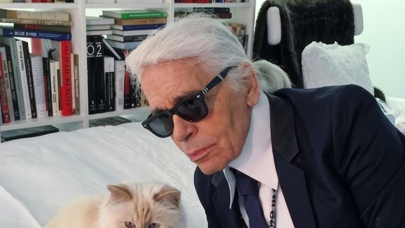 Herança bloqueada: gata de Karl Lagerfeld, Choupette, hoje com 14 anos, ainda não recebeu fortuna bilionária do estilista; R$ 8,7 milhões não foram pagos e pet troca mansão por apartamento em Paris