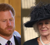 De acordo com a People, a escritora Catherine Mayer afirmou que "não há reconciliação" entre Príncipe Harry e Rei Charles III sem a presença da Rainha Camilla, reforçando a importância da rainha na atual dinâmica da família real