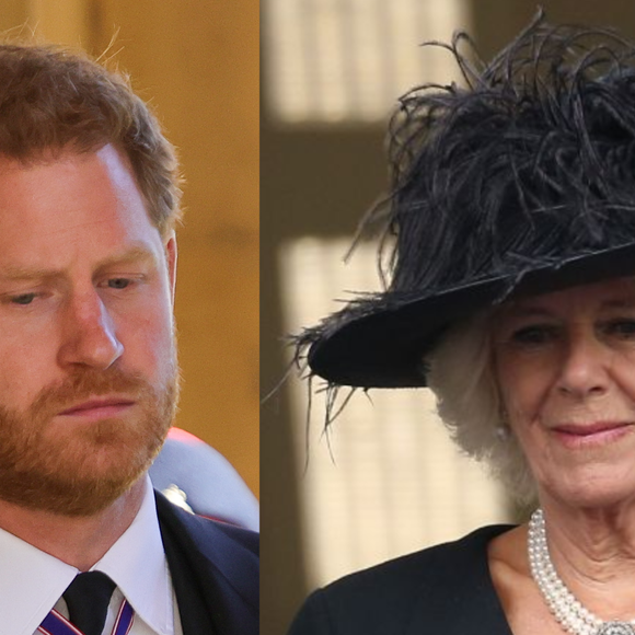 De acordo com a People, a escritora Catherine Mayer afirmou que "não há reconciliação" entre Príncipe Harry e Rei Charles III sem a presença da Rainha Camilla, reforçando a importância da rainha na atual dinâmica da família real