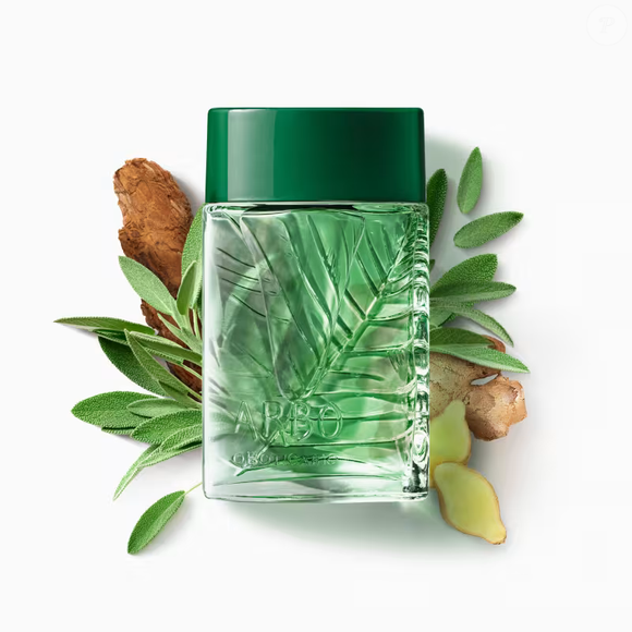 Inspirado no ar da montanha, Arbo combina menta, grapefruit e sálvia em fragrância perfeita para quem ama cheiro de natureza