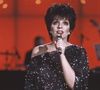 Liza Minnelli ganhou um Oscar nos anos 1970, após a mãe, Judy Garland vencer na década de 1940