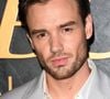 Liam Payne, ex-One Direction, morreu após cair do terceiro andar do hotel CasaSur Palermo, em 16 de outubro, com politraumatismos fatais