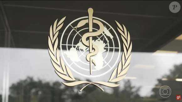 De acordo com a Organização Mundial da Saúde (OMS), o hantavírus é transmitido principalmente por roedores infectados e pode causar a síndrome cardiopulmonar por hantavírus, condição grave que afeta pulmões e coração e pode apresentar taxa de mortalidade de até 50%