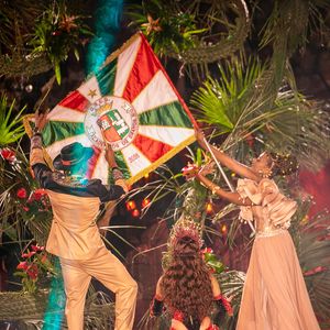 Anitta exaltou a bandeira da Grande Rio