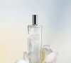 Lançado em 2003, o clássico Pur Blanca, da Avon, continua encantando mulheres que amam fragrâncias leves, delicadas e com sensação de frescor acolhedor