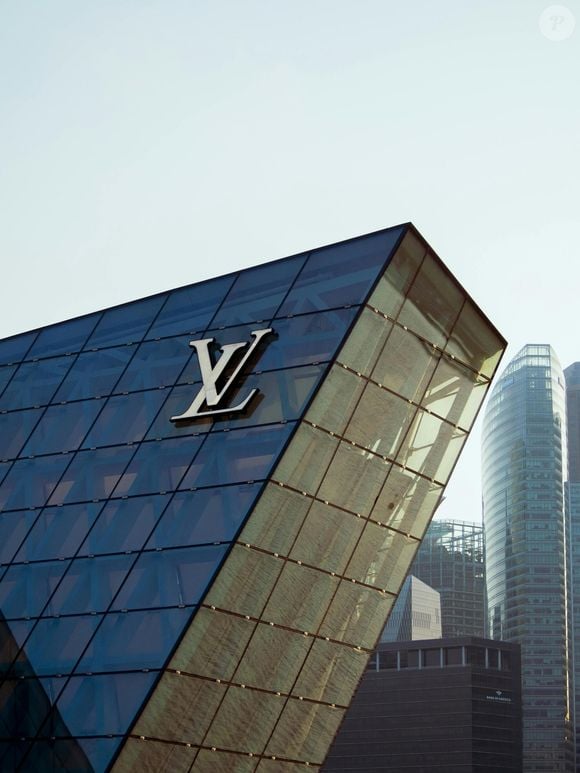 No processo, a Louis Vuitton alegou que o logotipo seria "idêntico ou semelhante" e acusou a empresa francesa de ter uma semelhança em nível "verbal, fonético e conceptual"