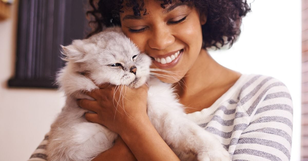 Nova Tendência de Moda: Conheça o CatCore, o Estilo que Vai Conquistar os Amantes de Gatos