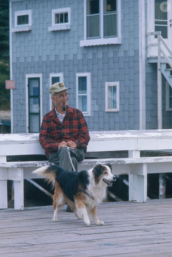O que antes parecia urgência era só desespero e a falta de tempo se transformou em uma vida mais tranquila, atenta aos detalhes