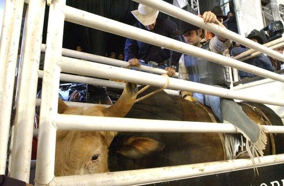 Novela América abordava os rodeios em Barretos