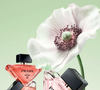 Prada Paradoxe Virtual Flower reinventa um dos mais icônicos símbolos da feminilidade com muita tecnologia