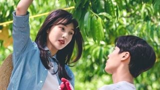 Episódios dublados de só 30 minutos: encontrei na Netflix o melhor dorama para assistir enquanto faz o jantar; uma comédia romântica com Choo Young-woo e Park Soo-young
