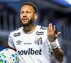 Neymar se revoltou após um torcedor mirim ser xingado pela torcida do Corínthians