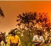Qual novela vai substitur 'Avenida Brasil' no Vale a Pena Ver de Novo? Globo prefere 'Pantanal', de Benedito Ruy Barbosa do que 'Páginas da Vida', de Manoel Carlos