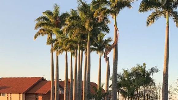 Zero poluição e + de 70 campos de futebol de área plantada: fazenda refúgio de Sabrina Sato tem lago, capela e muito espaço para relaxar; veja 18 fotos!