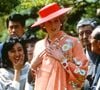 Tom de pêssego eleito cor do ano pela Pantone apareceu no armário de Lady Di