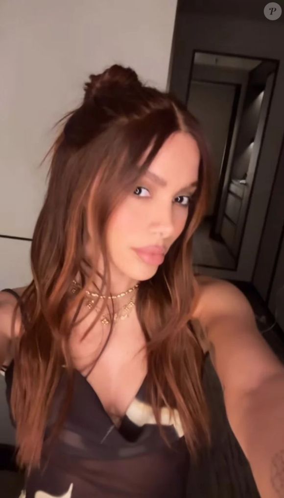 Anitta falou sobre a importância de falar sobre a causa indigena