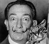 Salvador Dalí, pintor espanhol e mestre do surrealismo: ‘A única diferença entre mim e um louco é que eu não sou louco’