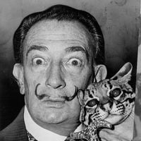 Salvador Dalí, pintor espanhol e mestre do surrealismo: ‘A única diferença entre mim e um louco é que eu não sou louco’