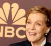 Aos 90 anos, Julie Andrews explicou sua ausência em O Diário da Princesa 3 e afirmou que atualmente vive uma fase profissional diferente