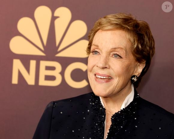 Aos 90 anos, Julie Andrews explicou sua ausência em O Diário da Princesa 3 e afirmou que atualmente vive uma fase profissional diferente