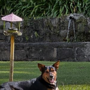 "Vi que é um lugar que me traz muita paz, um lugar muito especial. Tem bastante natureza", disse Marcello Novaes sobre o sítio