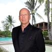 Em 2000, Bruce Willis, hoje aos 71 anos, era dono de 3 hectares no Caribe: ele construiu um complexo de luxo com residências e piscinas; ator ajudou a desenvolver uma área de natureza virgem até transformá-la em um centro turístico