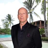 Em 2000, Bruce Willis, hoje aos 71 anos, era dono de 3 hectares no Caribe: ele construiu um complexo de luxo com residências e piscinas; ator ajudou a desenvolver uma área de natureza virgem até transformá-la em um centro turístico