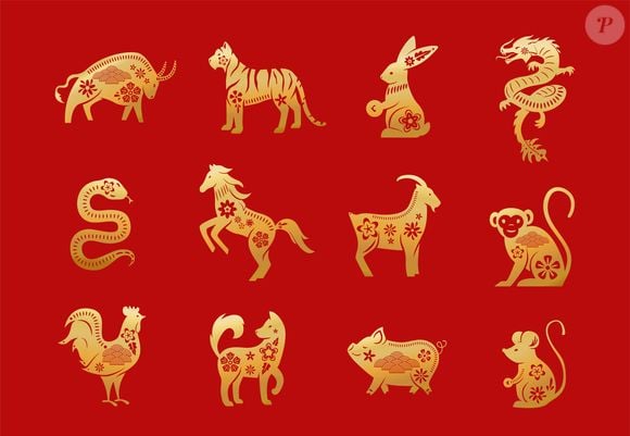 Dentre os 12 signos do Horóscopo chinês, 3 deles terão mais sorte: Cavalo, Cachorro e Tigre
