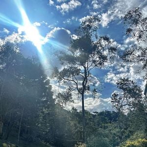 Marcello Novaes compartilha cliques recorrentes da casa nas redes sociais