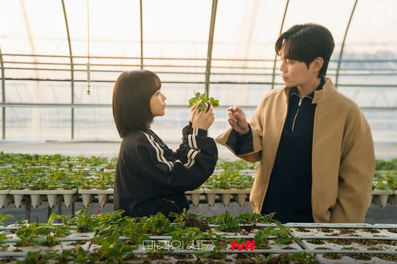 Muito antes de 'Uma Seul Desconhecida', Park Bo-young já havia revelado detalhes de sua dieta para perder peso