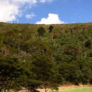 Fazenda de Marcos Palmeira possui um lago próprio, onde ele passa alguns momentos do seu dia