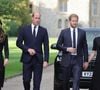 Afastados das obrigações com a Família Real desde 2020, Príncipe Harry e Meghan Markle têm gerado incômodo entre a corte