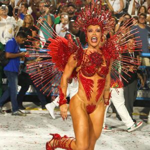 Fantasia da Virgínia no Carnaval 2026 valorizava o enredo da Grande Rio,'A Nação do Mangue'