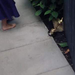 Gwyneth Paltrow mostrou em entrevista para Vogue que usa sua estatueta do Oscar como peso de porta