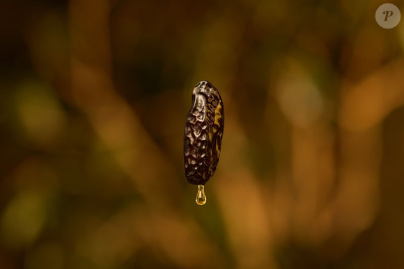 A Natura Ekos ressignifica a baunilha em uma proposta mais quente, amendoada, amadeirada e encorpada, mostrando como o ingrediente pode ir além do dulçor convencional e ganhar uma identidade mais madura e sofisticada na perfumaria