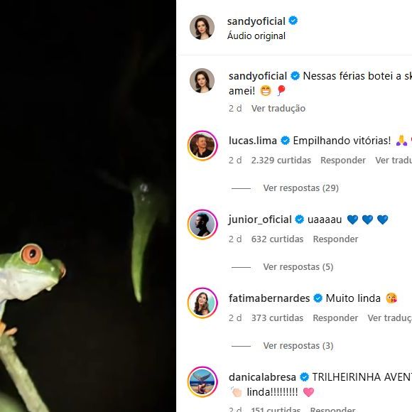 Até a foto de um sapinho postada por Sandy....