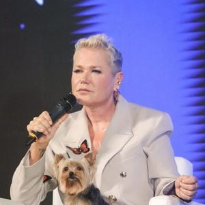 De acordo com informações do jornal O Globo, Xuxa abriu um processo contra a empresa Bagy Soluções de Comércio Digital