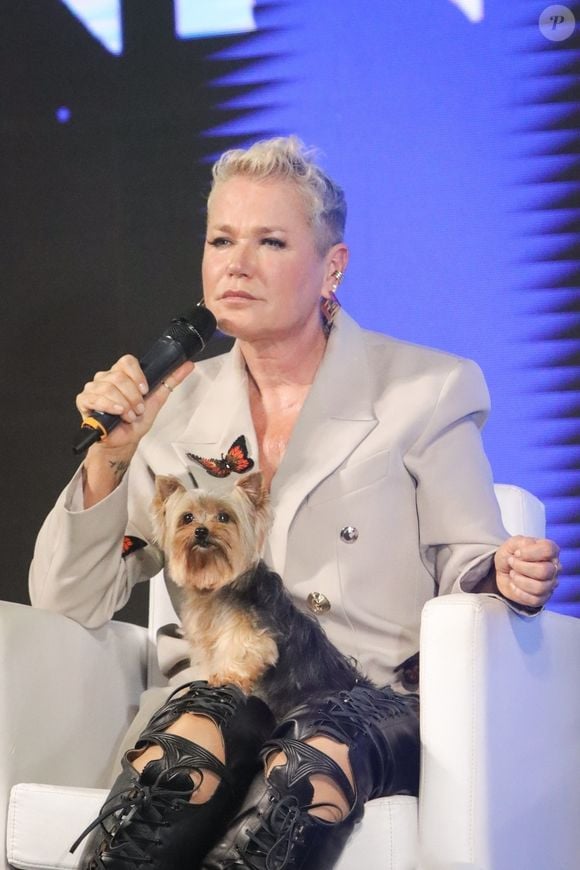 De acordo com informações do jornal O Globo, Xuxa abriu um processo contra a empresa Bagy Soluções de Comércio Digital