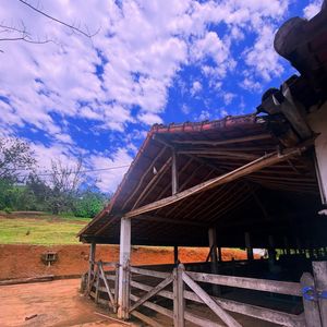 No local, André Marques cuida de diversos animais, incluindo vacas, cabras e cavalos
