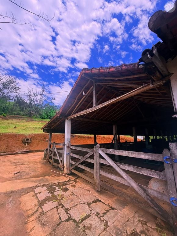 No local, André Marques cuida de diversos animais, incluindo vacas, cabras e cavalos
