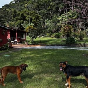 Aos 62 anos, Marcello Novaes mostra que qualidade de vida vai além de mansões: no interior da serra, o ator encontrou paz, silêncio e uma rotina conectada à terra