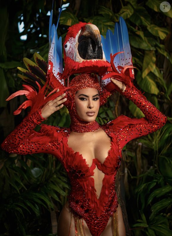 “Estou muito feliz e grata pelo convite da Acadêmicos do Tucuruvi! Ser parte dessa escola de samba, tão rica em história e cultura, é incrível demais. A energia de São Paulo no Carnaval é contagiante, e poder dividir esse momento com tanta gente talentosa será uma honra", disse Isabelle Nogueira